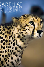 Noite na Terra em cores - Segunda Temporada (Earth At Night In Color - Season two)