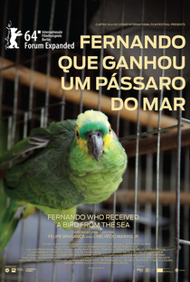 Fernando que Ganhou um Pássaro do Mar - Poster / Capa / Cartaz - Oficial 1