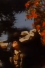 Strawberry Switchblade: Who Knows What Love Is (Strawberry Switchblade: Who Knows What Love Is)