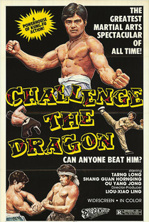 O Desafio do Dragão - Poster / Capa / Cartaz - Oficial 1