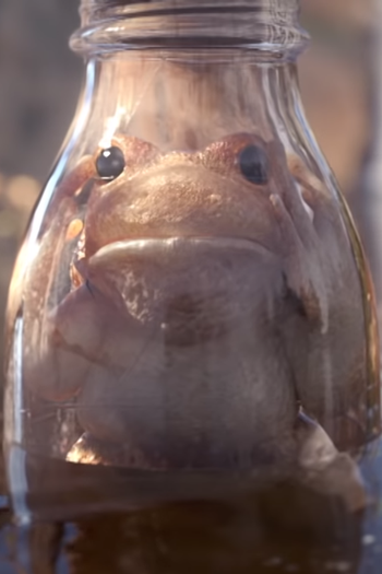 Poster de Curta Locked Up (2014)