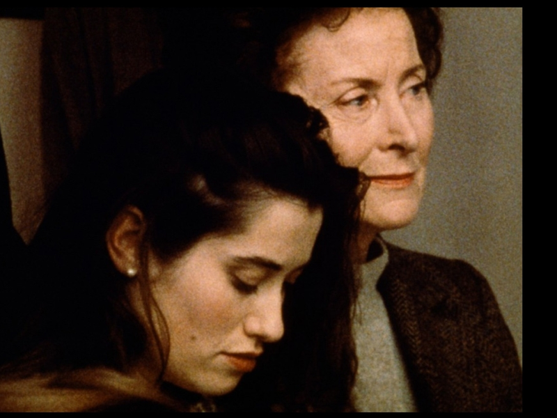 Foto 6 de A Vida dos Mortos