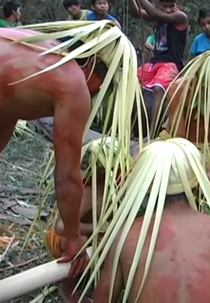 Mîmãnãm: mõgmõka xi xûnîn (Mîmãnãm: mõgmõka xi xûnîn)