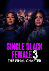 Assistente Duas Caras: O Capítulo Final (Single Black Female 3: The Final Chapter)