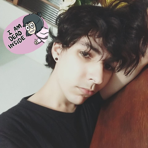 Foto de perfil de Laura