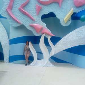 Foto de perfil de neusadias4257dcd58aca46d6