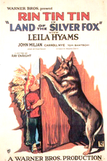 O Heroísmo de Rin Tin Tin (Land of the Silver Fox)