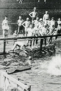 Žofín Swimming Bath - Poster / Capa / Cartaz - Oficial 1