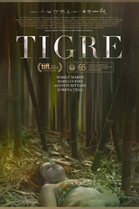 Tigre (Tigre)