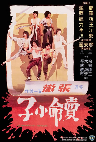 Poster 3 de Filme The Magnificent Ruffians (1979)