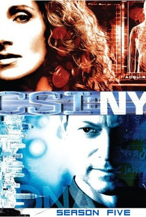 CSI: Nova Iorque (5ª Temporada) - Poster / Capa / Cartaz - Oficial 1