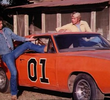 Officer Daisy Duke