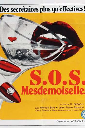 Poster de Filme SOS Mademoiselle (1980)
