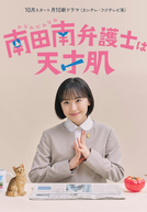 Extraordinary Attorney Minami