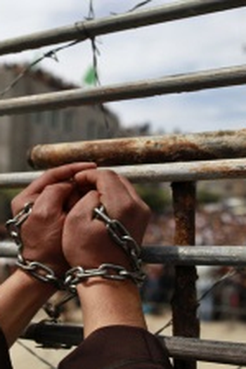 Poster de Episódio Silencing Palestine - Prison & Repression (2017)