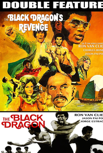 O Dragão Negro vinga a morte de Bruce Lee - Poster / Capa / Cartaz - Oficial 1