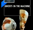 Ghosts in the Machine
