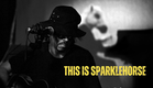 ‘This Is Sparklehorse’ Final Teaser 2022