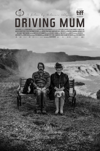 Poster de Filme Driving Mum (2022)
