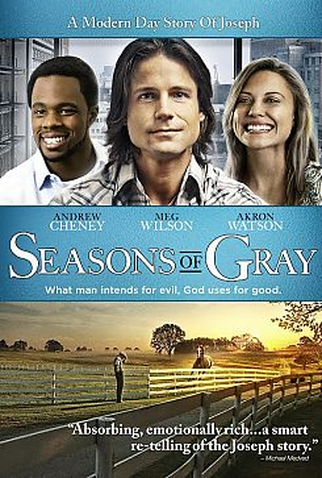 Poster 1 de Filme Temporadas de Cinza (2013)