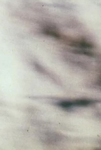 Poster 1 de Curta Narcisse Pretext (1992)