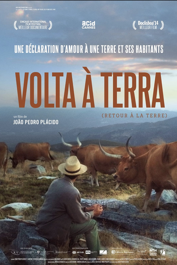 Poster de Filme VOLTA À TERRA (2014)