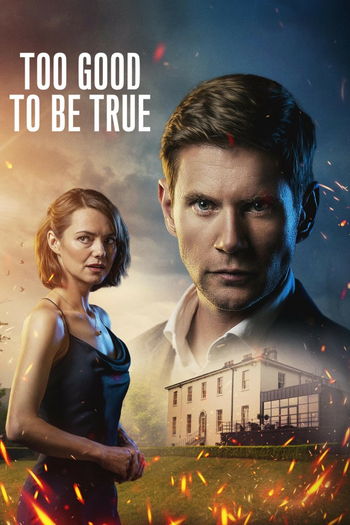 Poster de Franquia Too Good to be True (2024)