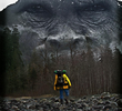 Hunting Bigfoot