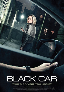 The Wrong Car (The Wrong Car)