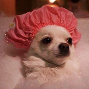 Foto de perfil de Ms Cake