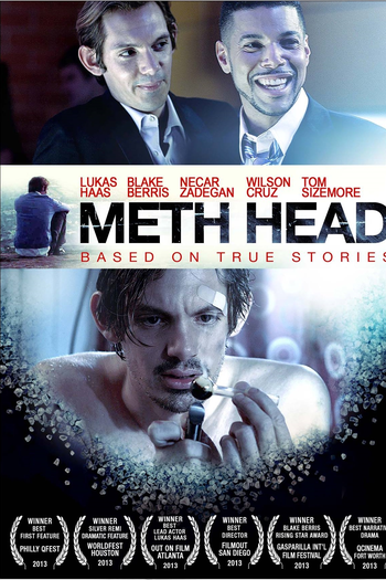 Poster de Filme Meth Head (2013)