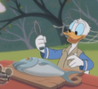The Three Caballeros