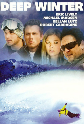 Poster 3 de Filme Inverno Profundo (2008)
