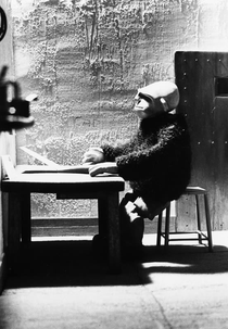 L'évasion (L'évasion)