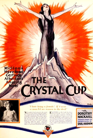 Poster 1 de Filme A Taça da Felicidade (1927)