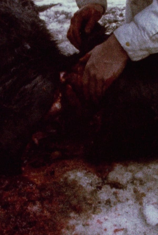 Poster 1 de Curta Pan 697 (1974)