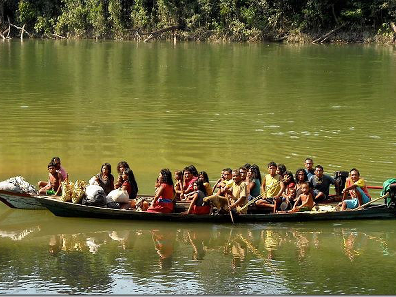 Foto 2 de A gramática da felicidade