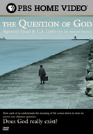 Deus em Questão (The Question of God: Sigmund Freud and C.S. Lewis )