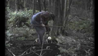 The Egg