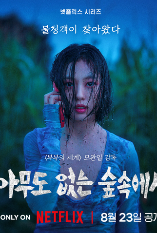 Poster 12 de Série Quando Ninguém Vê (2024)