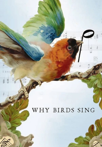 Por que os Pássaros Cantam? (Why Birds Sing?)