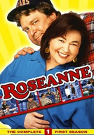 Roseanne (1ª Temporada)
