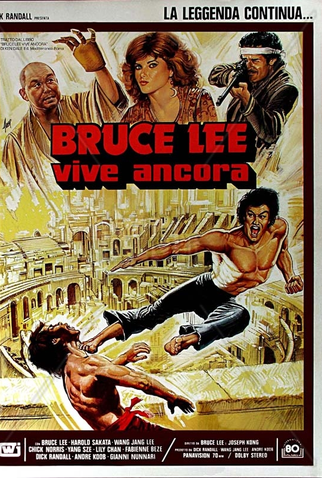 Poster 8 de Filme The Ninja Strikes Back (1982)