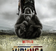 Virunga