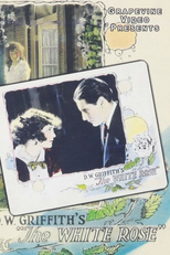 A Rosa Branca (The White Rose)