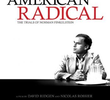 O Americano Radical - As Provações de Norman Finkelstein
