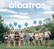 Albatros