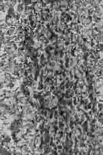Poster de Curta Spray (1967)