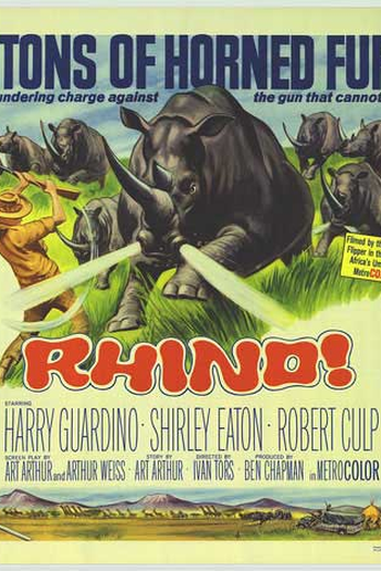 Poster de Filme Rinoceronte! (1964)