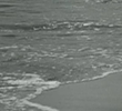 Surf and Seaweed